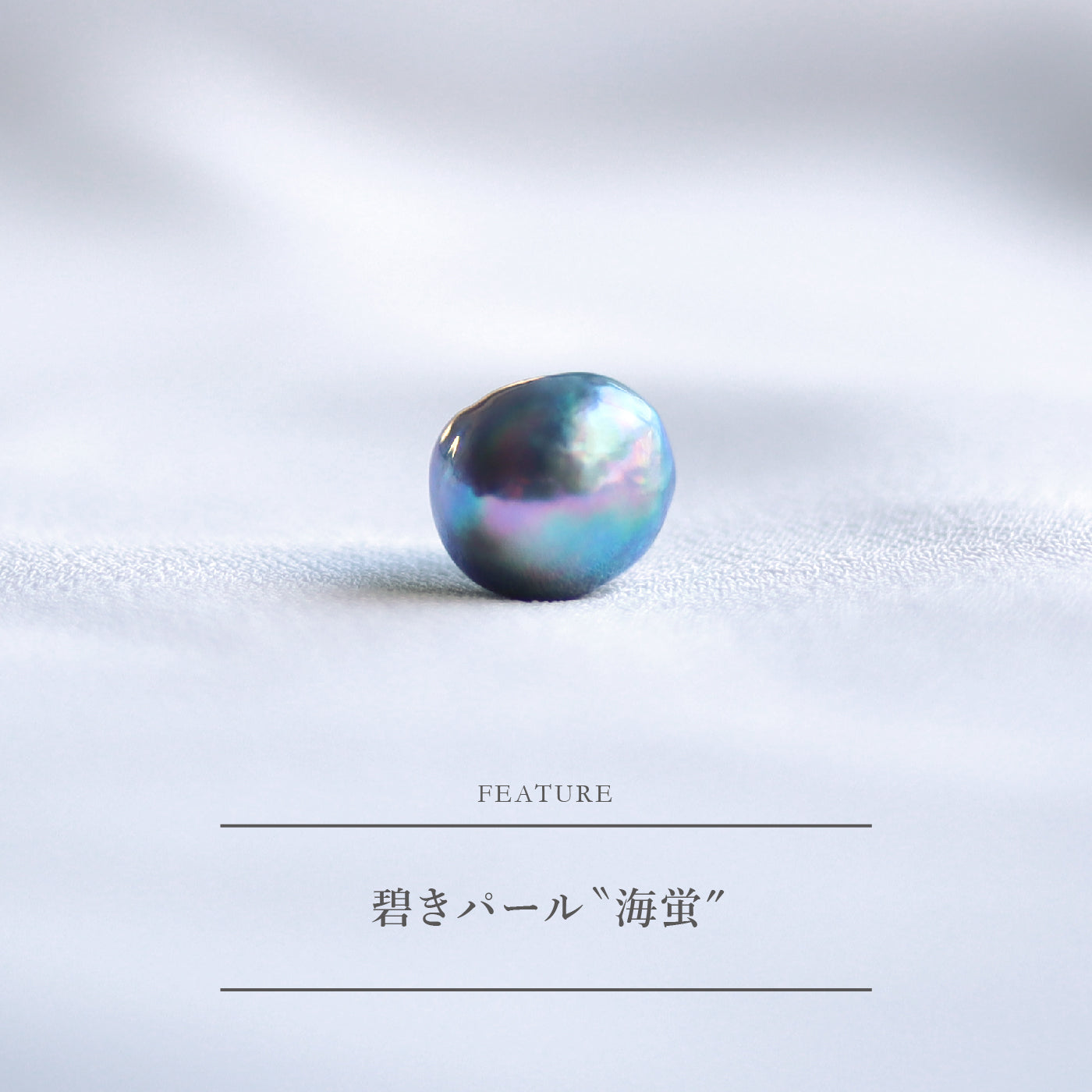 2022.1.11 | Happy New Year