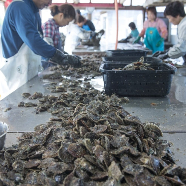 2022.7.11 | Pearl Memorial Day