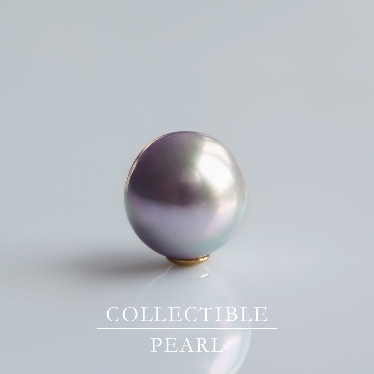 【COLLECTIBLE】Akoya Pearl (No.SA78266)