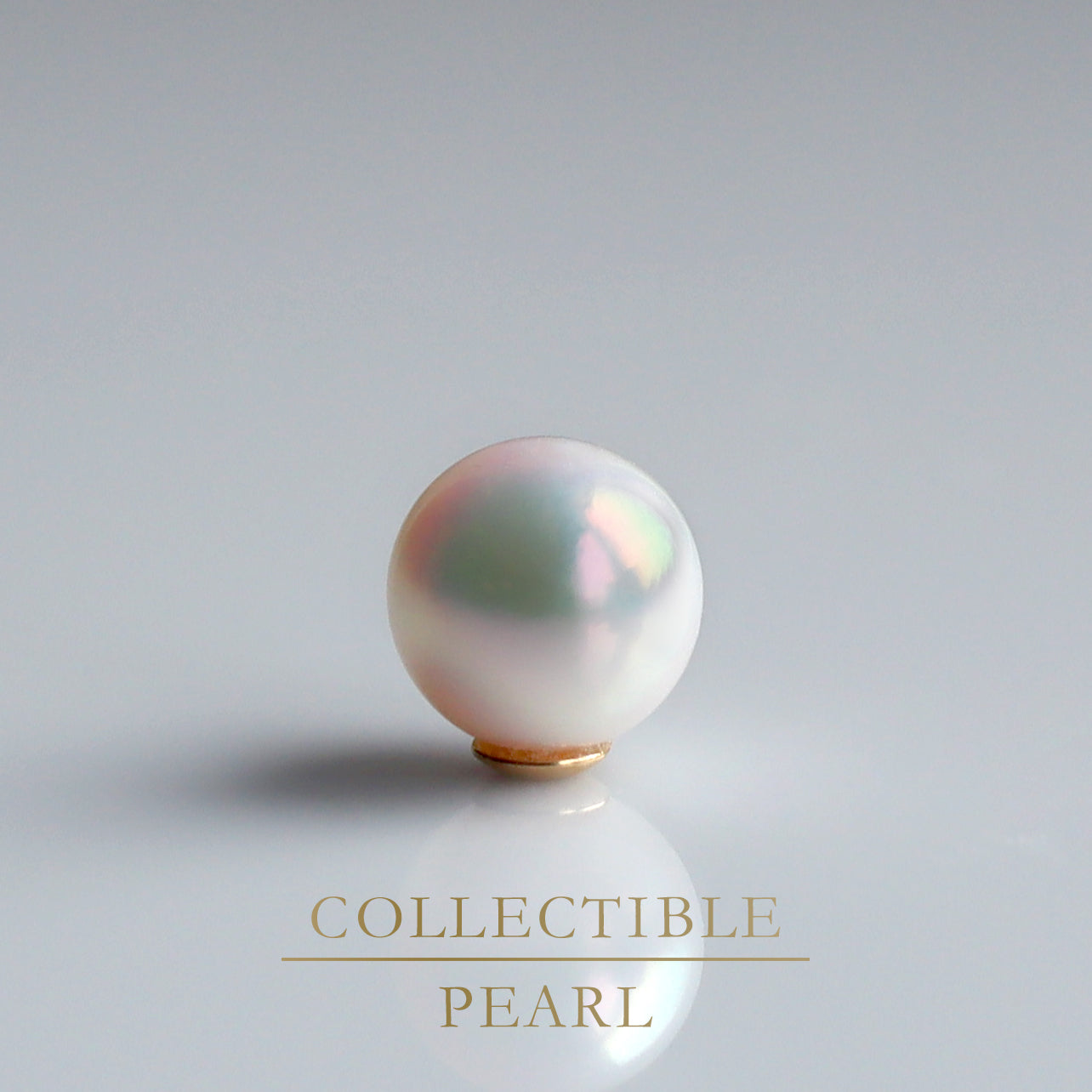 【COLLECTIBLE】Akoya Pearl (No. CA1777)