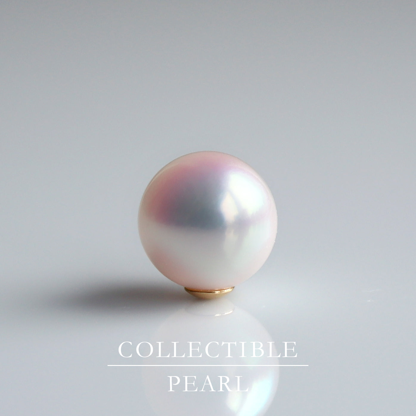 【COLLECTIBLE】Akoya Pearl (No.SA18188)