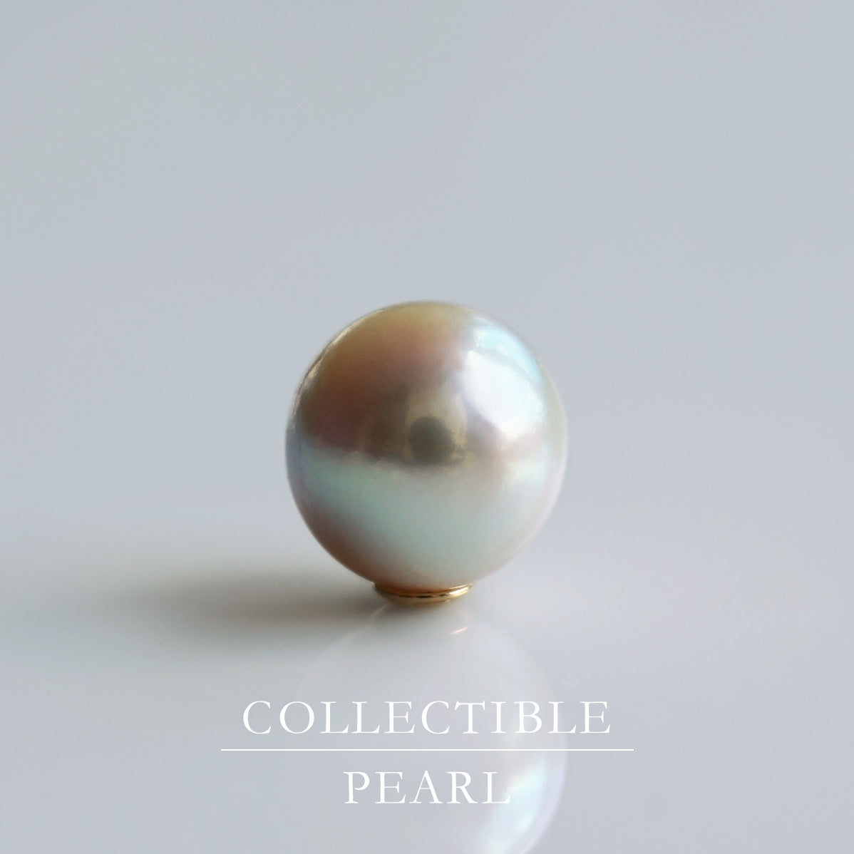 【COLLECTIBLE】Akoya Pearl (No.SA18265)