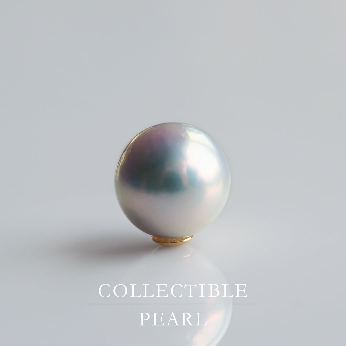 【COLLECTIBLE】Akoya Pearl (No.SA78267)
