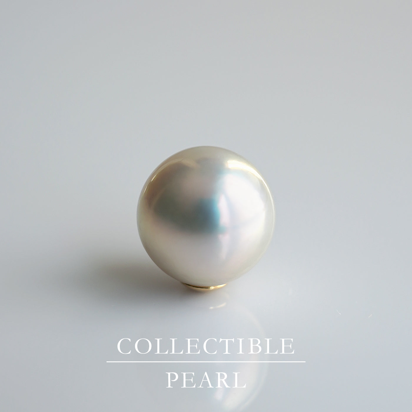 【COLLECTIBLE】Akoya Pearl (No.SA18185)
