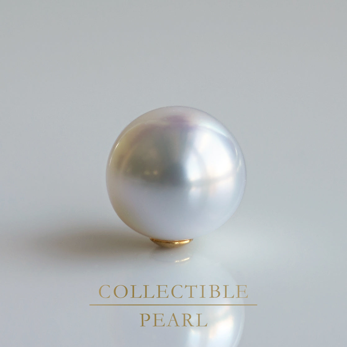 【COLLECTIBLE】South Sea Pearl (No. CS49111)