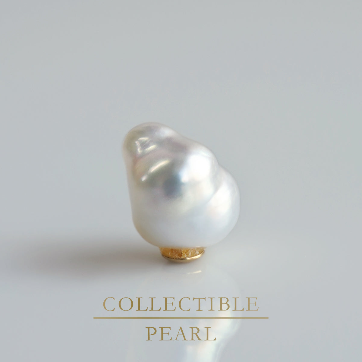 【COLLECTIBLE】South Sea Pearl (No. CS49111)