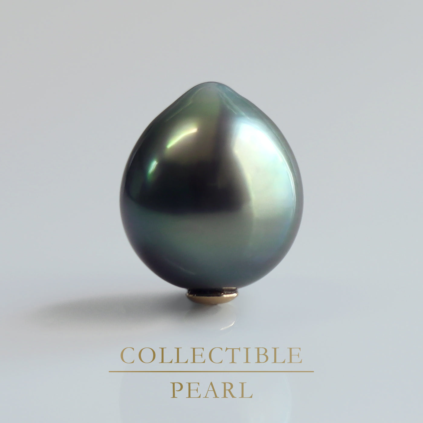 【COLLECTIBLE】 Tahitian Pearl (No. CT31081)