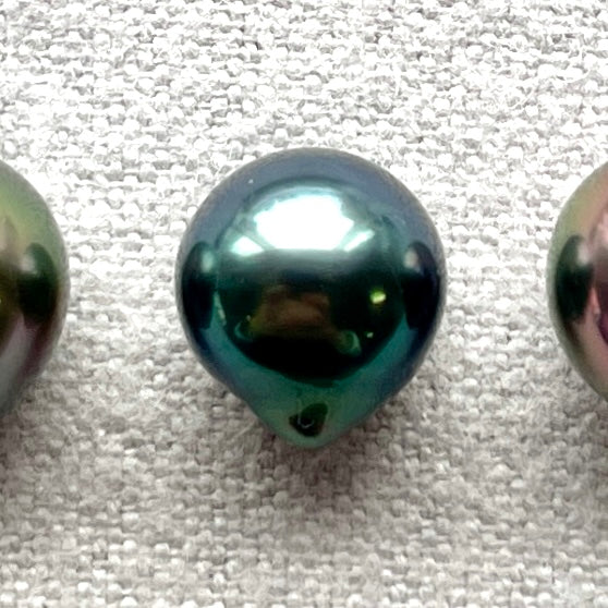 【龍様】COLLECTIBLE PEARL -黒蝶パール