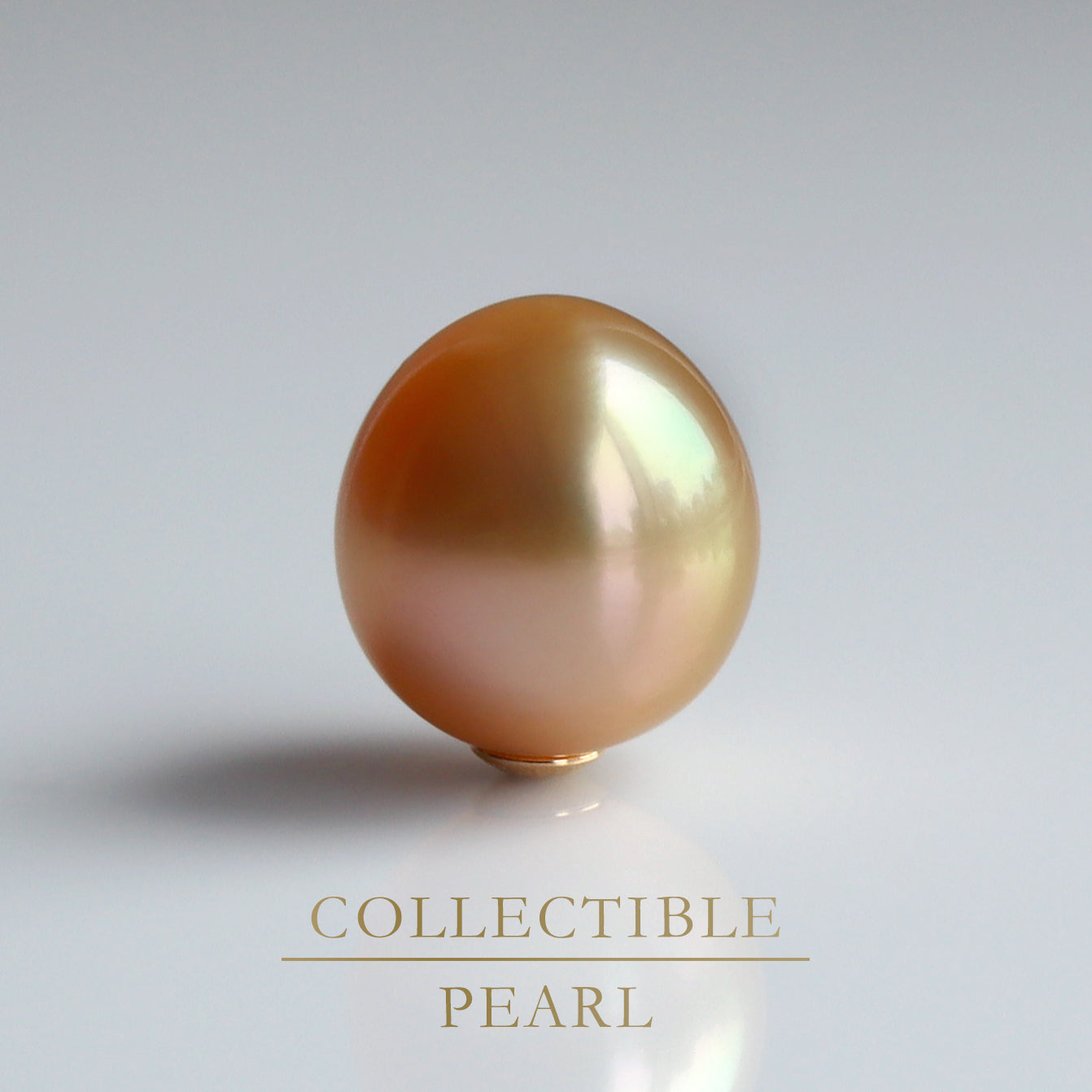 【COLLECTIBLE】Golden South Sea Pearl (No. SG39231)