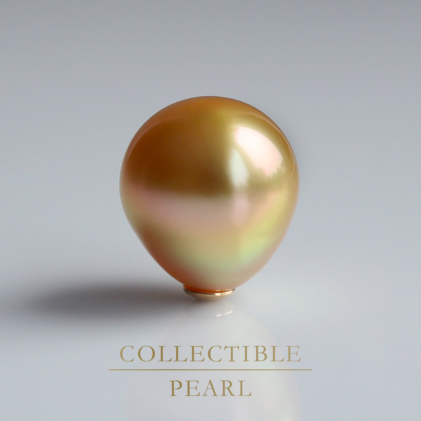 【COLLECTIBLE】Golden South Sea Pearl (No. CT66109)