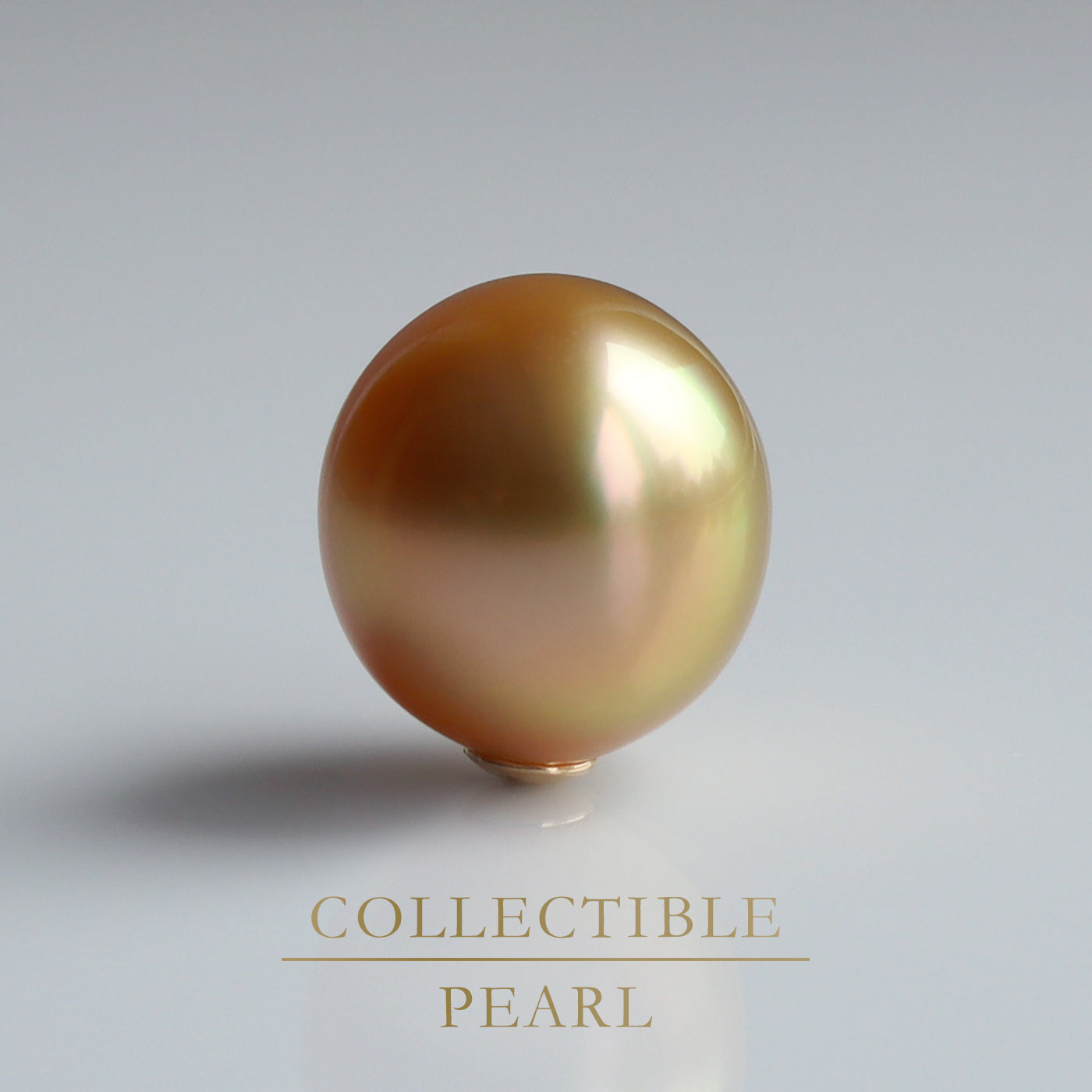 【COLLECTIBLE】Golden South Sea Pearl (No. CT66109)