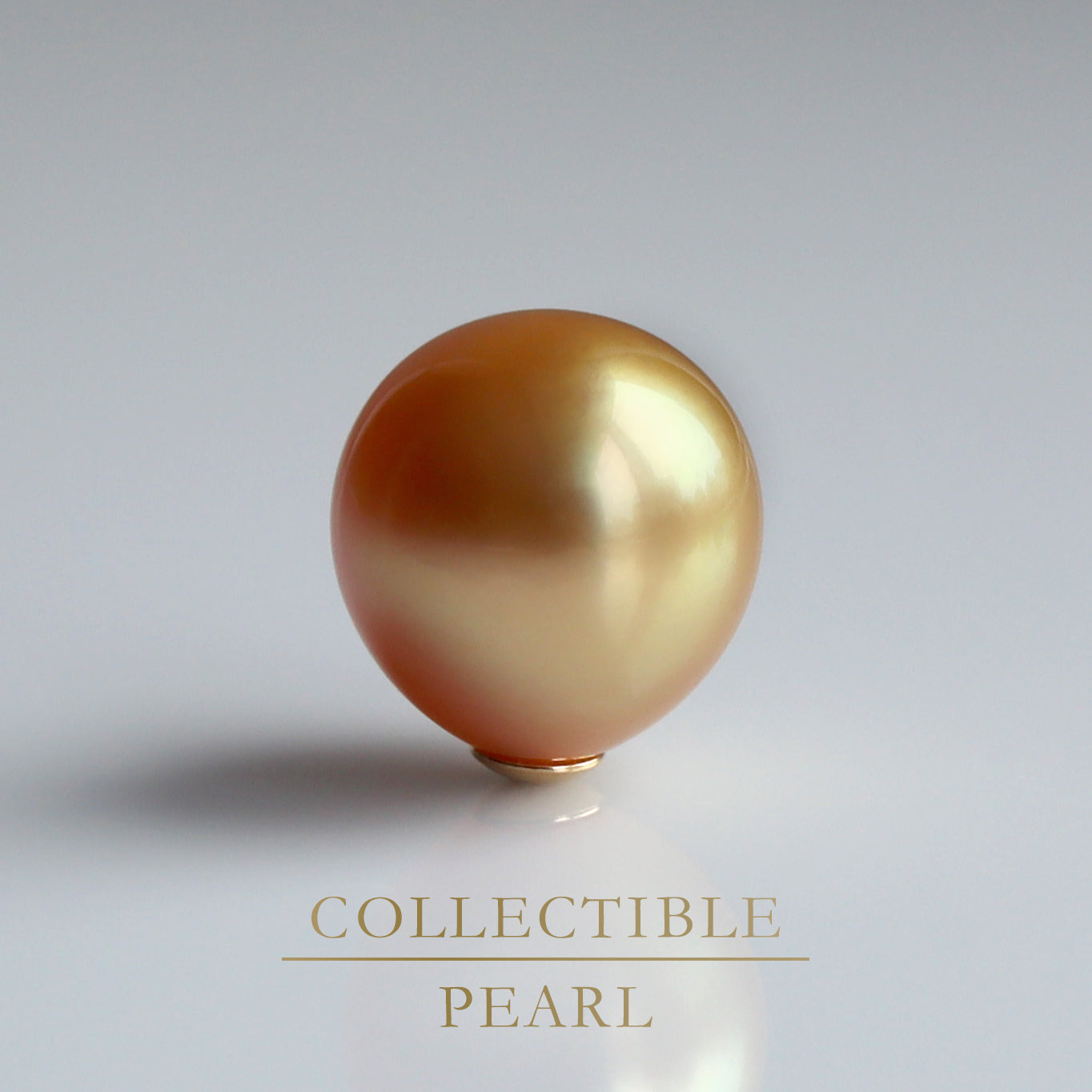 【COLLECTIBLE】Golden South Sea Pearl (No. SG39230)