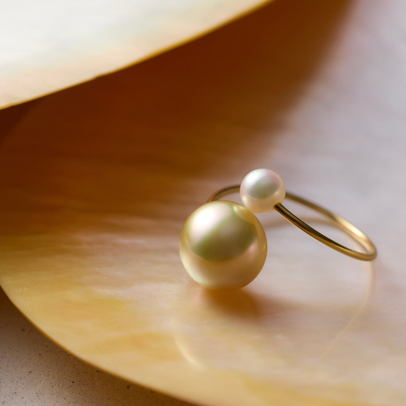 【COLLECTIBLE】Golden South Sea Pearl (No. SG29326)