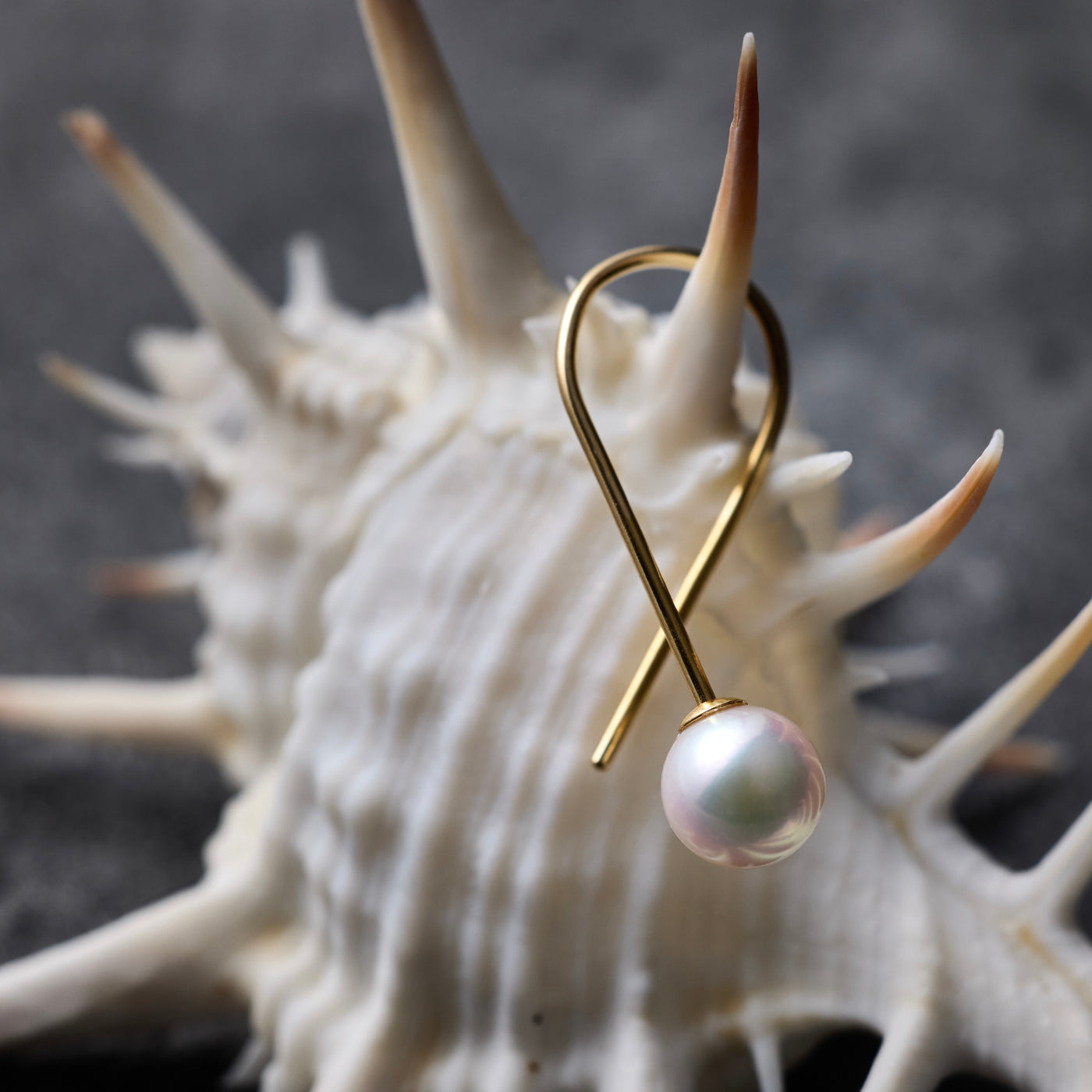 【COLLECTIBLE】Akoya Pearl (No.SA17323)