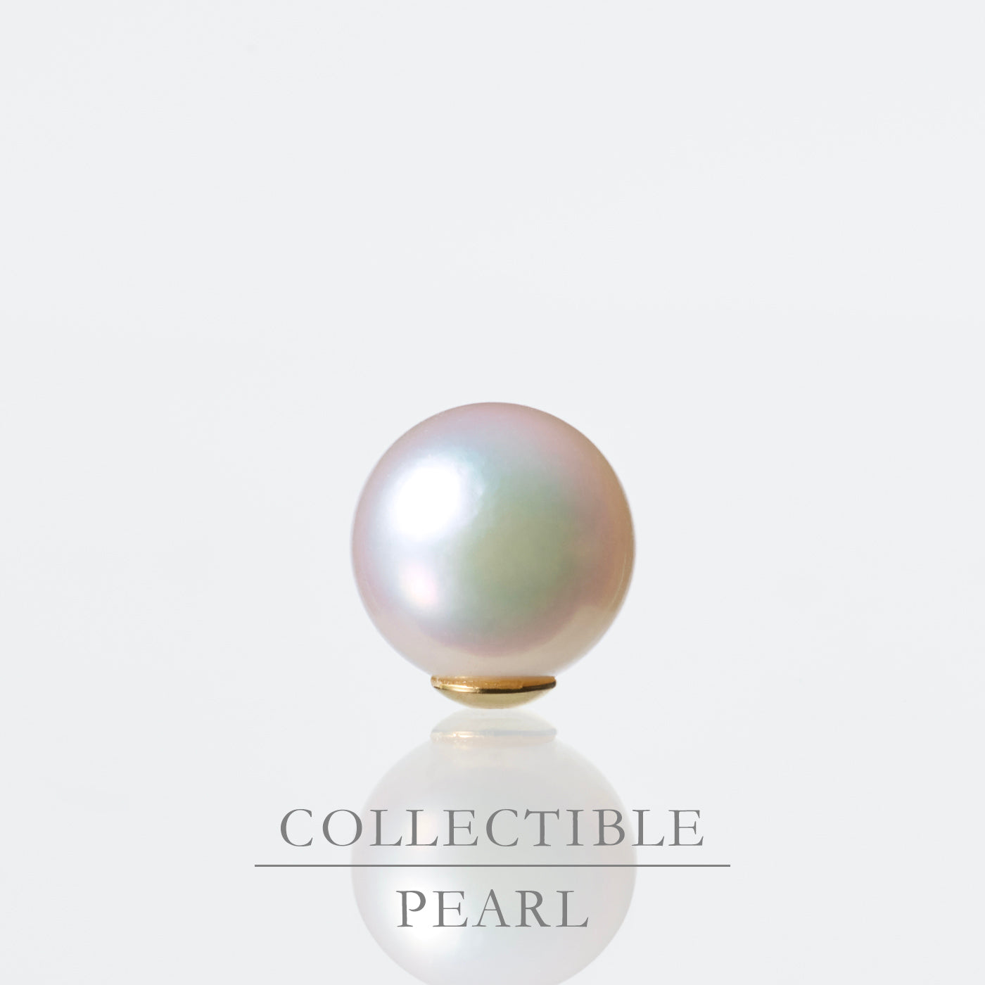 【COLLECTIBLE】Akoya Pearl (No.SA16321)