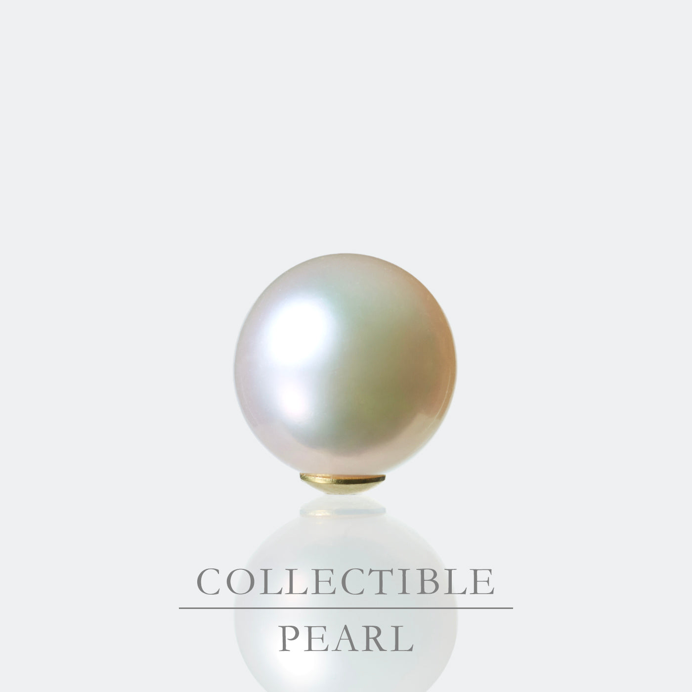 【COLLECTIBLE】Akoya Pearl (No.SA17322)