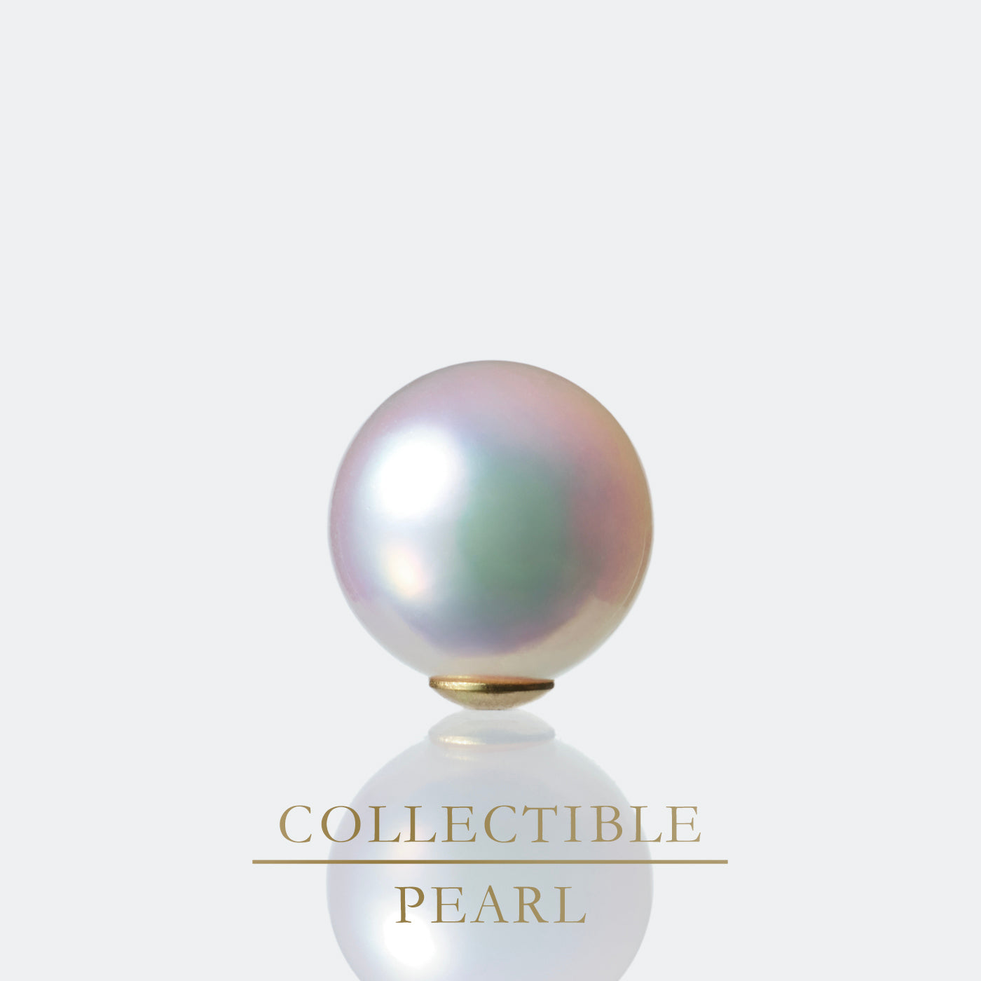 【COLLECTIBLE】Akoya Pearl (No.SA17323)
