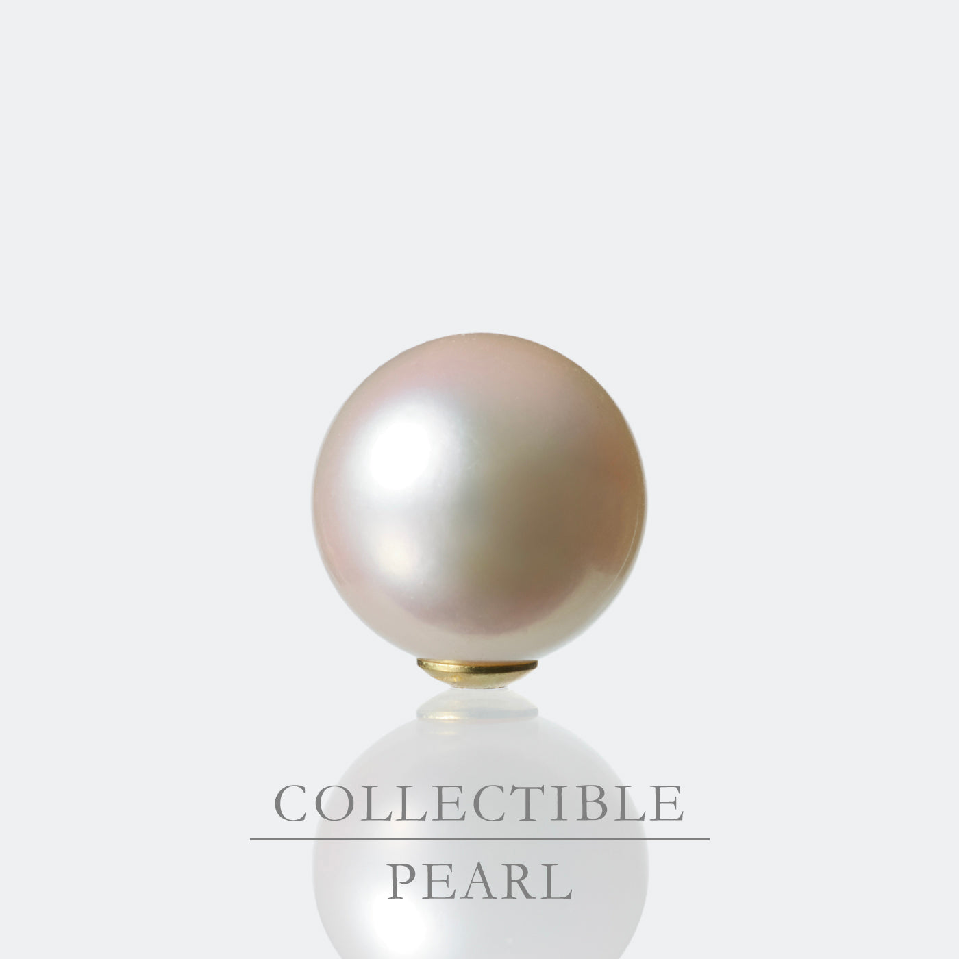 【COLLECTIBLE】Akoya Pearl (No.SA18324)