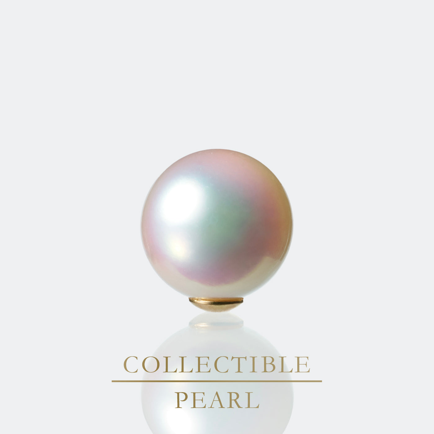 【COLLECTIBLE】Akoya Pearl (No.SA18325)