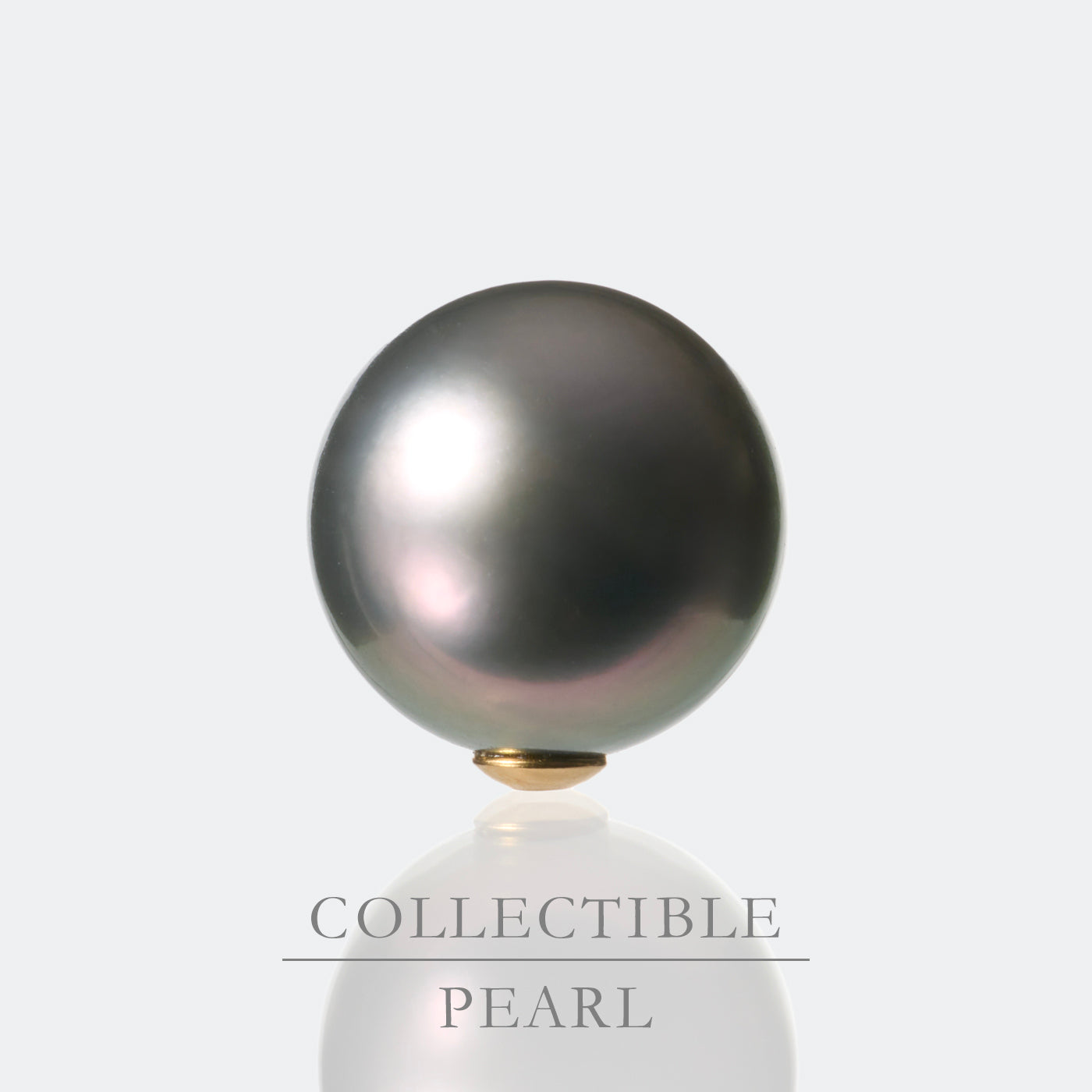 【COLLECTIBLE】Tahitian Pearl (CT11056)
