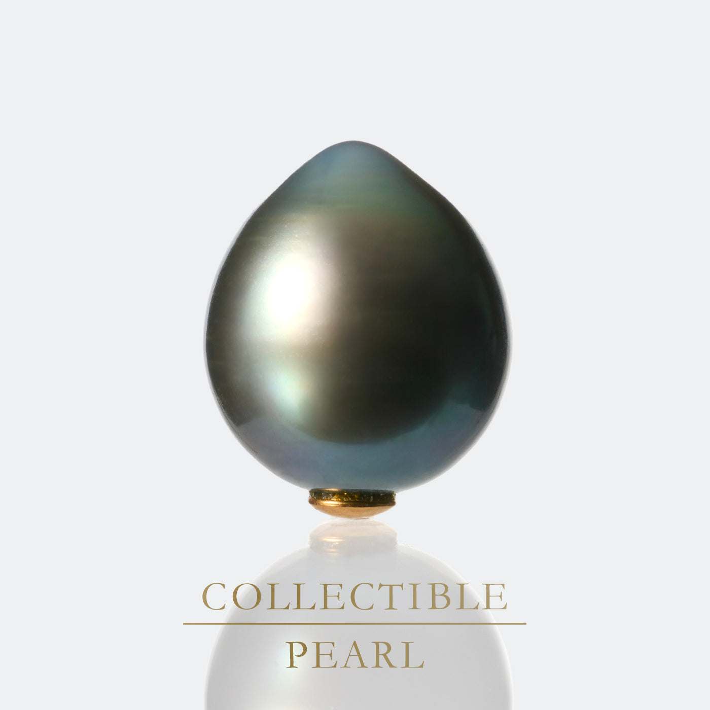 【COLLECTIBLE】 Tahitian Pearl (No. CT31081)