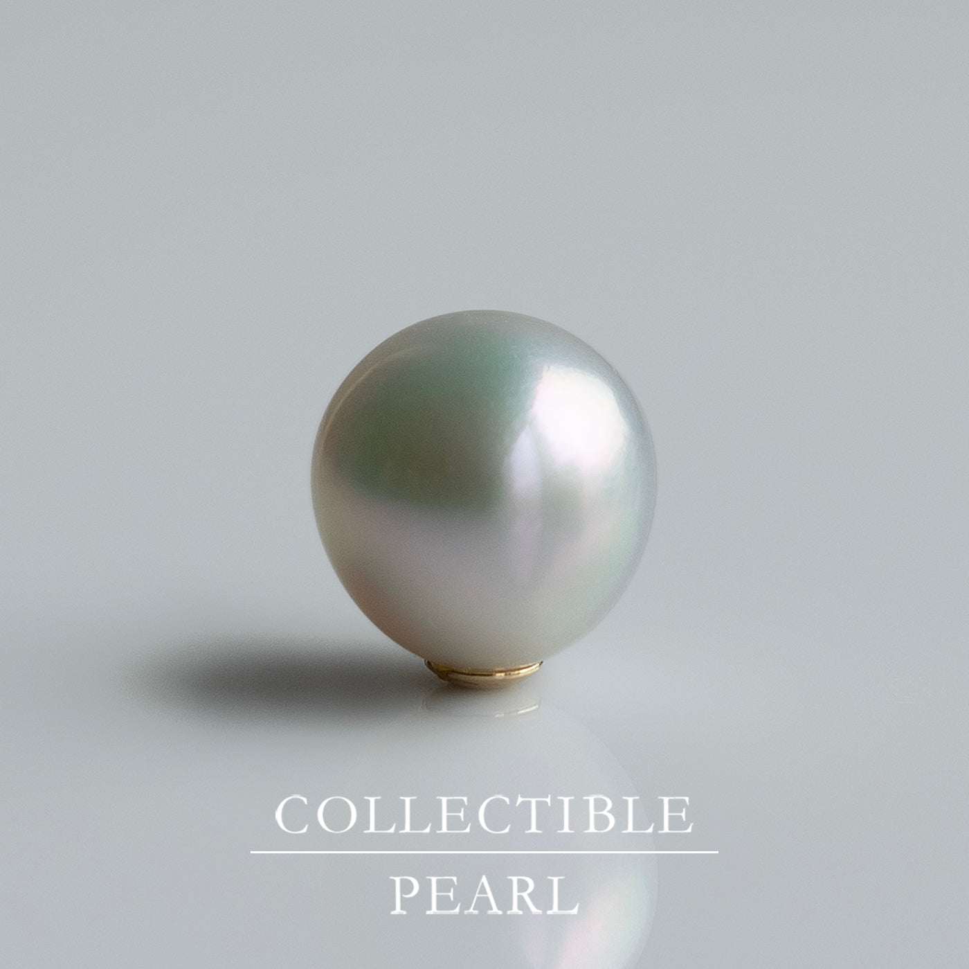 【COLLECTIBLE】Akoya Pearl (No. CA1777)