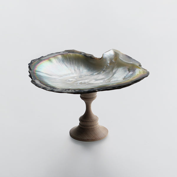 どっしりたとした台　孔雀貝模様 どっしりたとした台 孔雀貝模様 どっしりたとした台 孔雀貝模様 過去機種