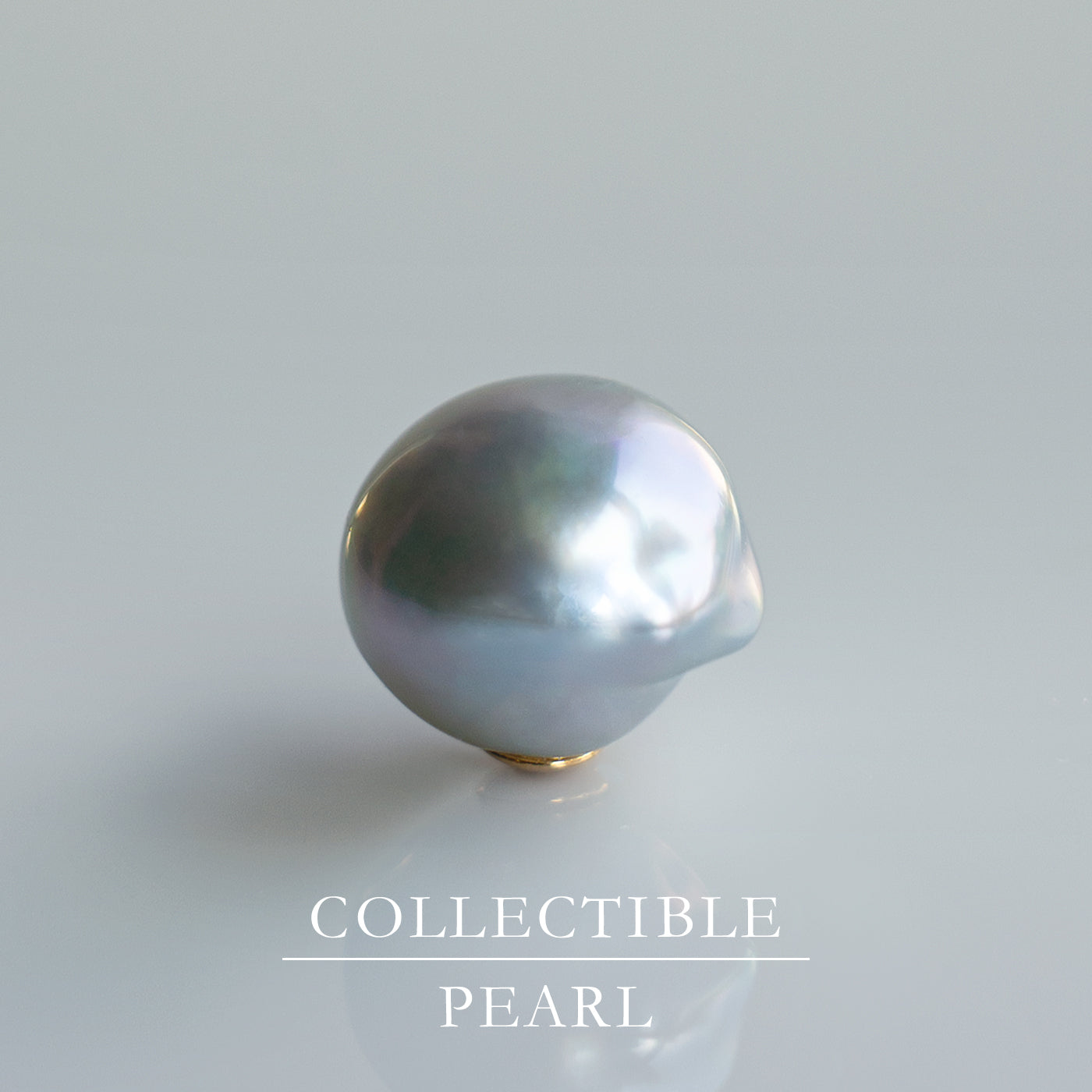 【COLLECTIBLE】"Umihotaru" Akoya Pearl (No. SU58309)