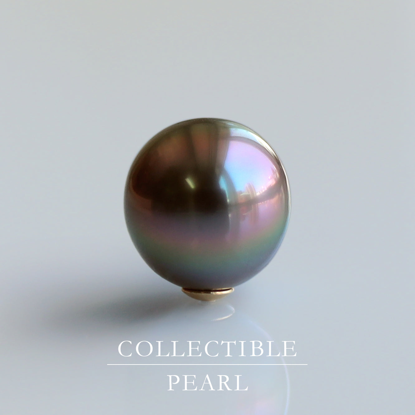 【COLLECTIBLE】 Tahitian Pearl (No. CT31081)