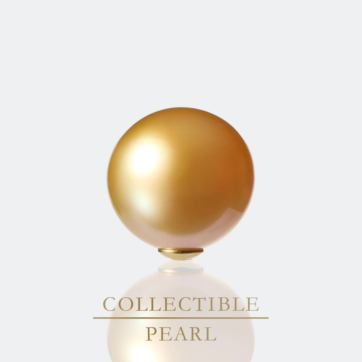 【COLLECTIBLE】Golden South Sea Pearl (No. SG49327)