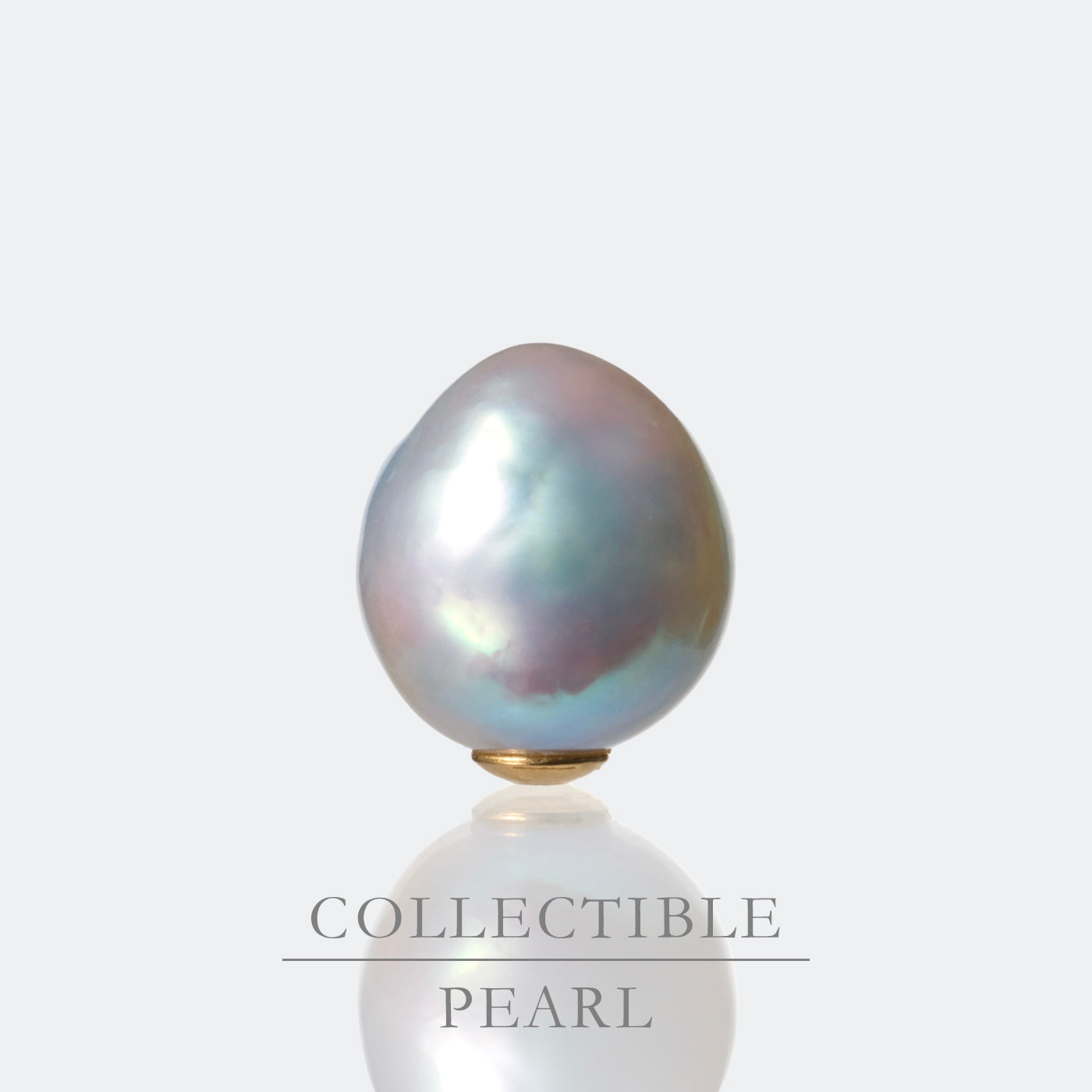 【COLLECTIBLE】"Umihotaru" Akoya Pearl (No. SU58241)