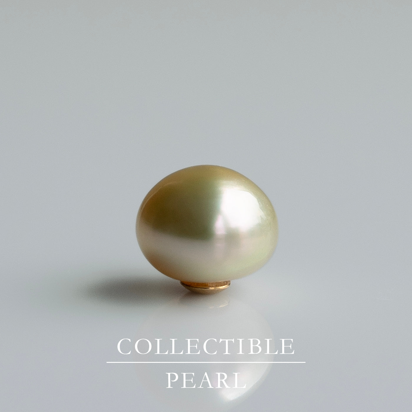 【COLLECTIBLE】Golden South Sea Keshi Pearl (No. SG68293)