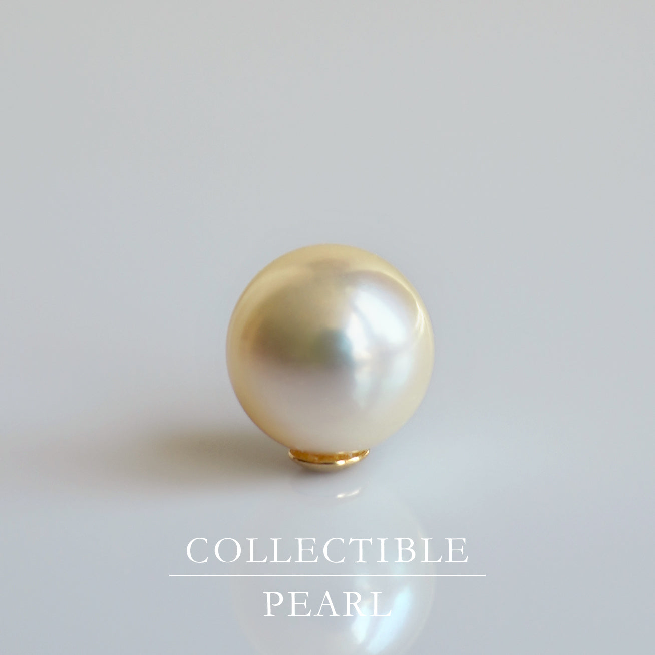 【COLLECTIBLE】Akoya Pearl (No.SA17153)