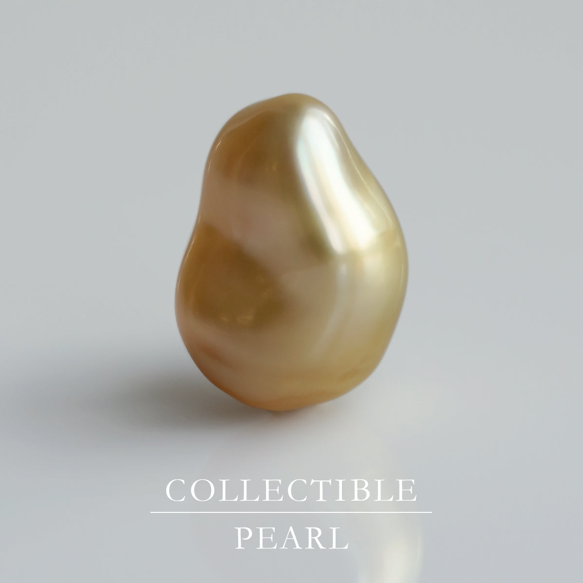 【COLLECTIBLE】South Sea Pearl (No. CS49111)