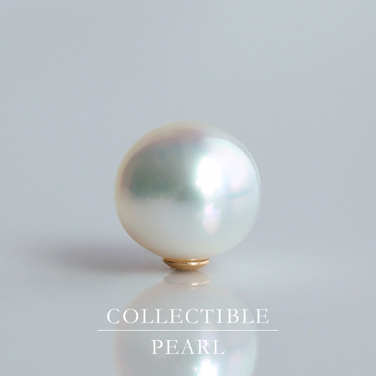 【COLLECTIBLE】South Sea Pearl (No. CS49111)