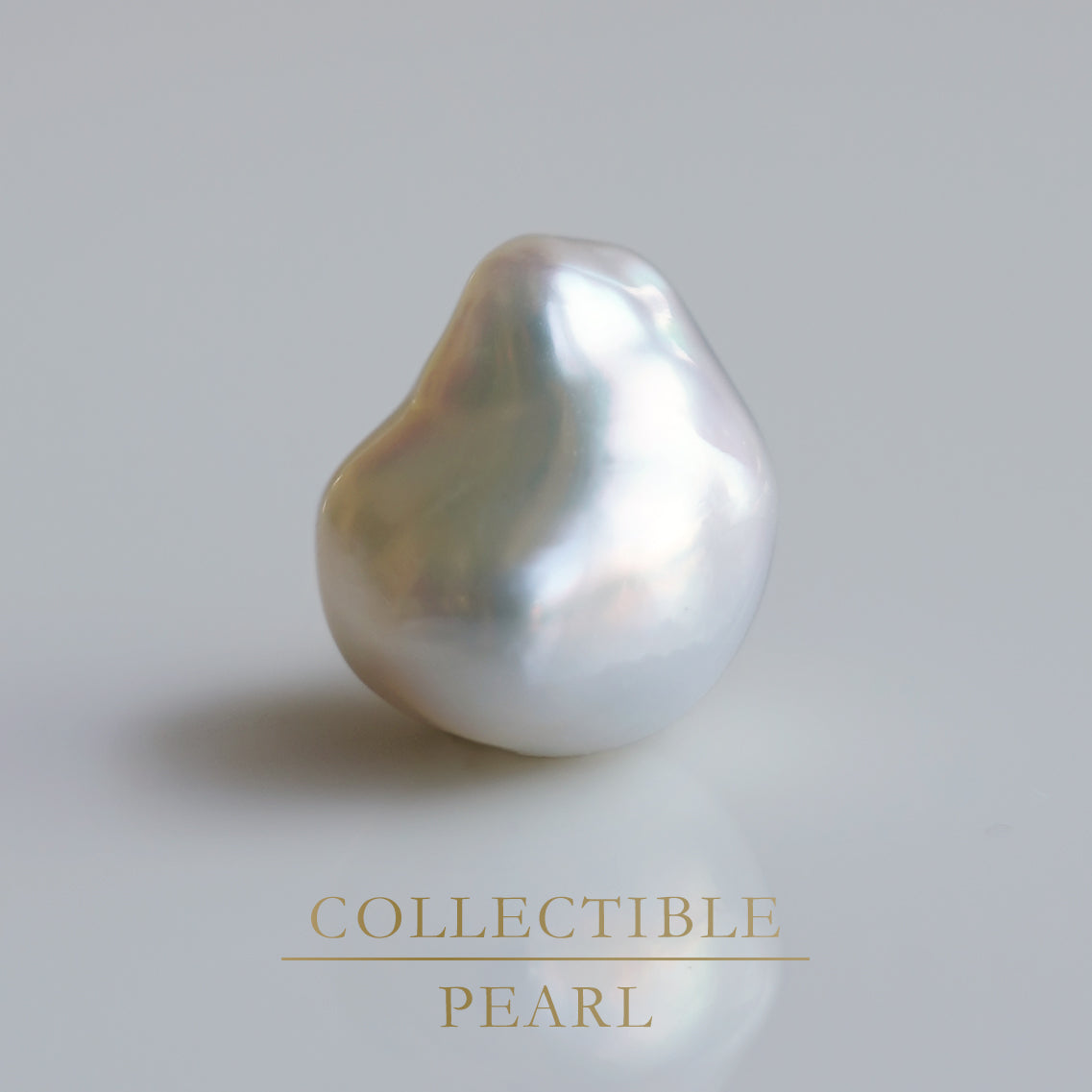 【COLLECTIBLE】South Sea Pearl (No. CS49111)
