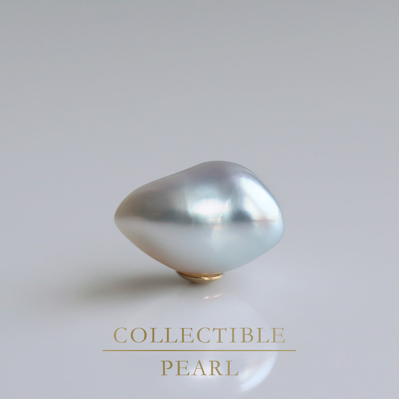 【COLLECTIBLE】South Sea Pearl (No. CS49111)