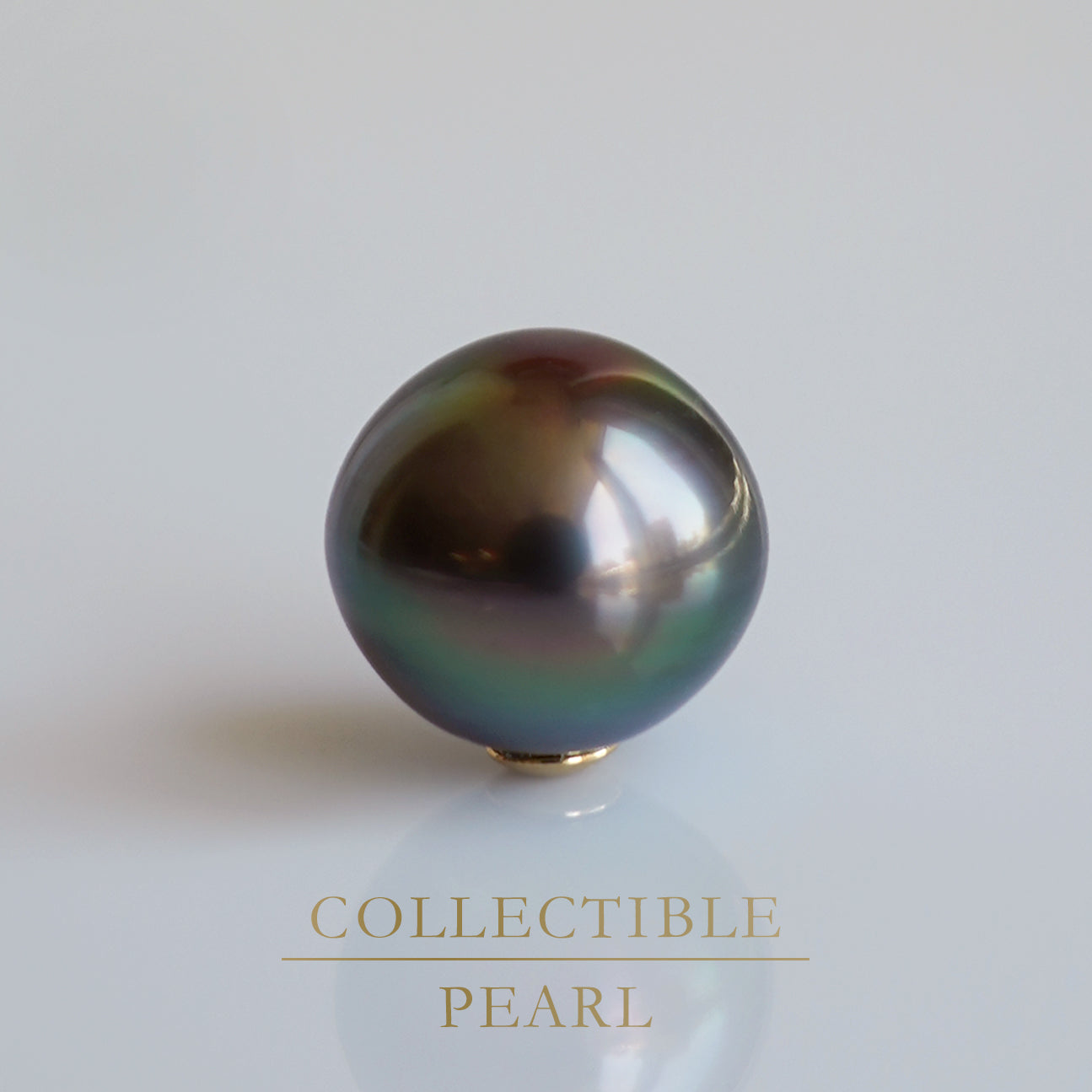 【COLLECTIBLE】Tahitian Pearl (No. ST49161)