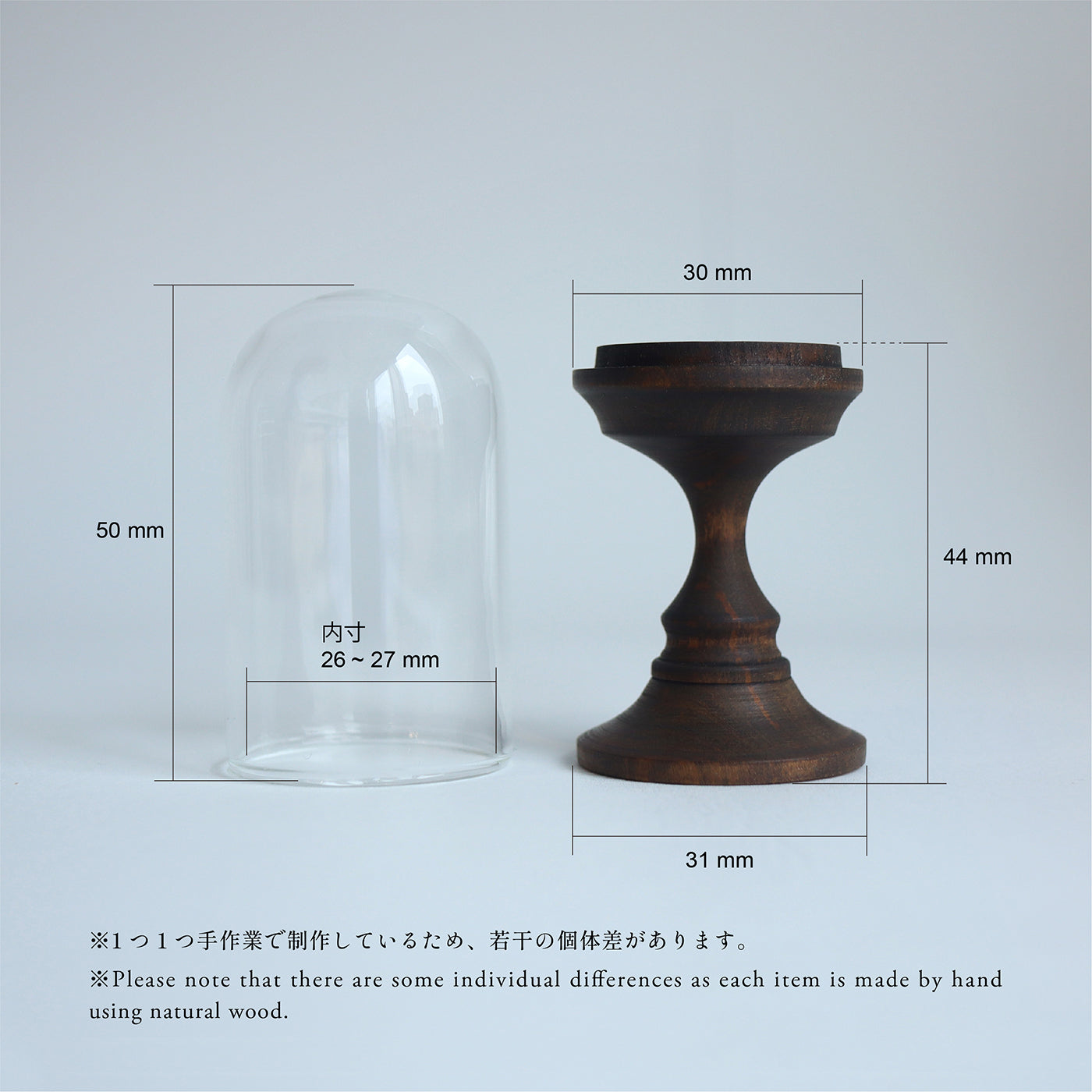 【COLLECTIBLE】星加清人 楓の標本スタンド- Brown