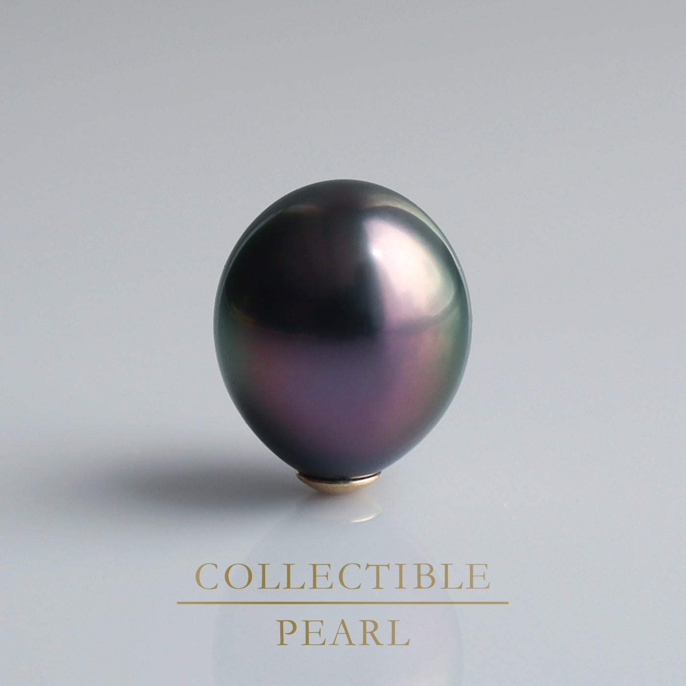 【COLLECTIBLE】Tahitian Pearl (No. ST29227)