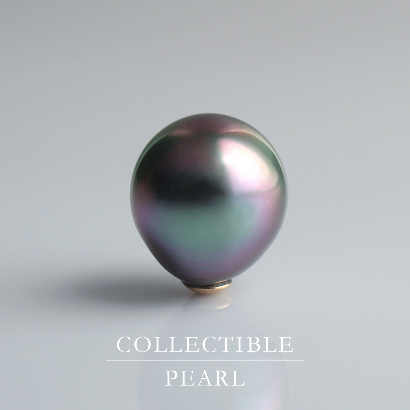 【COLLECTIBLE】Tahitian Pearl (No. ST39217)