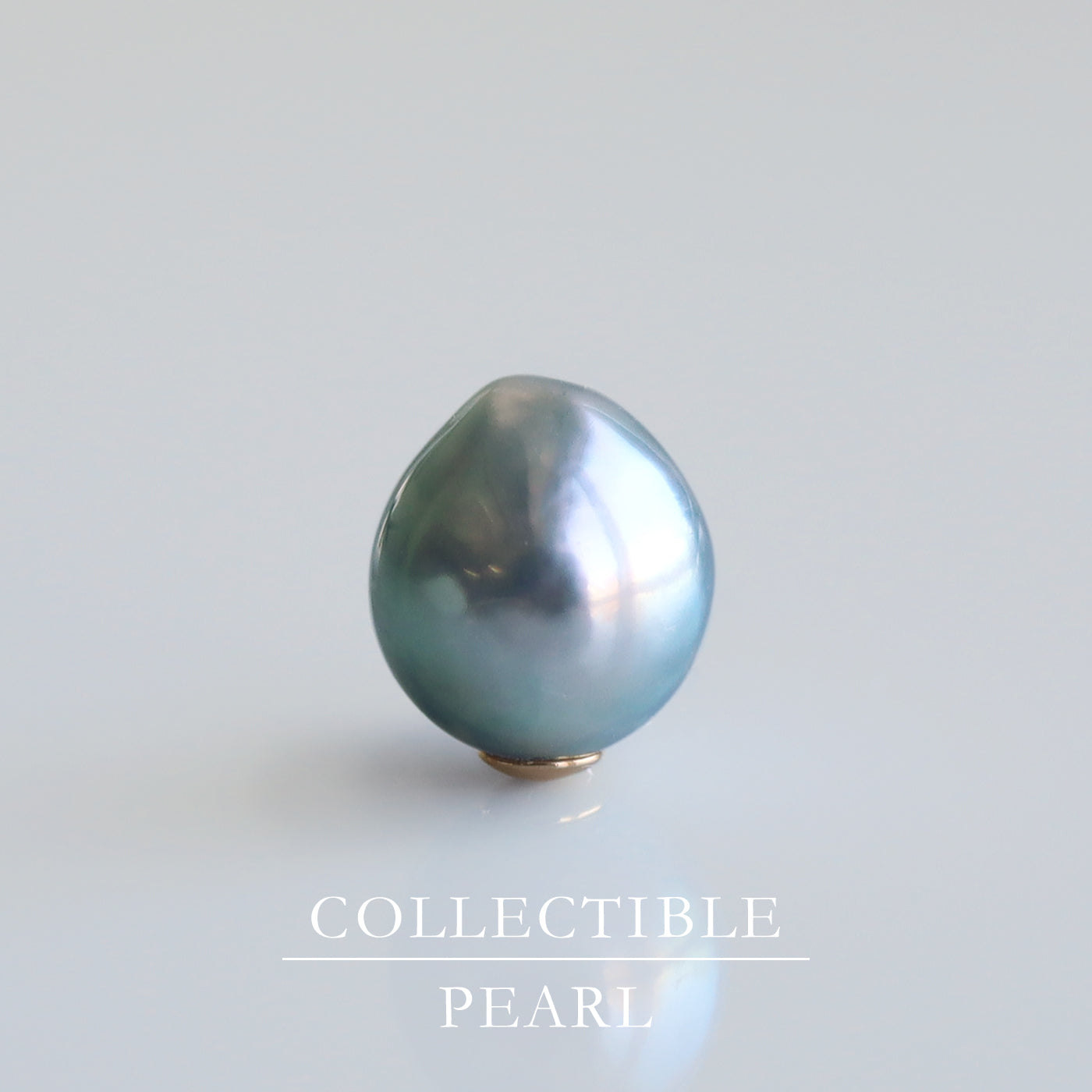 【COLLECTIBLE】"Umihotaru" Akoya Pearl (No. SU58212)