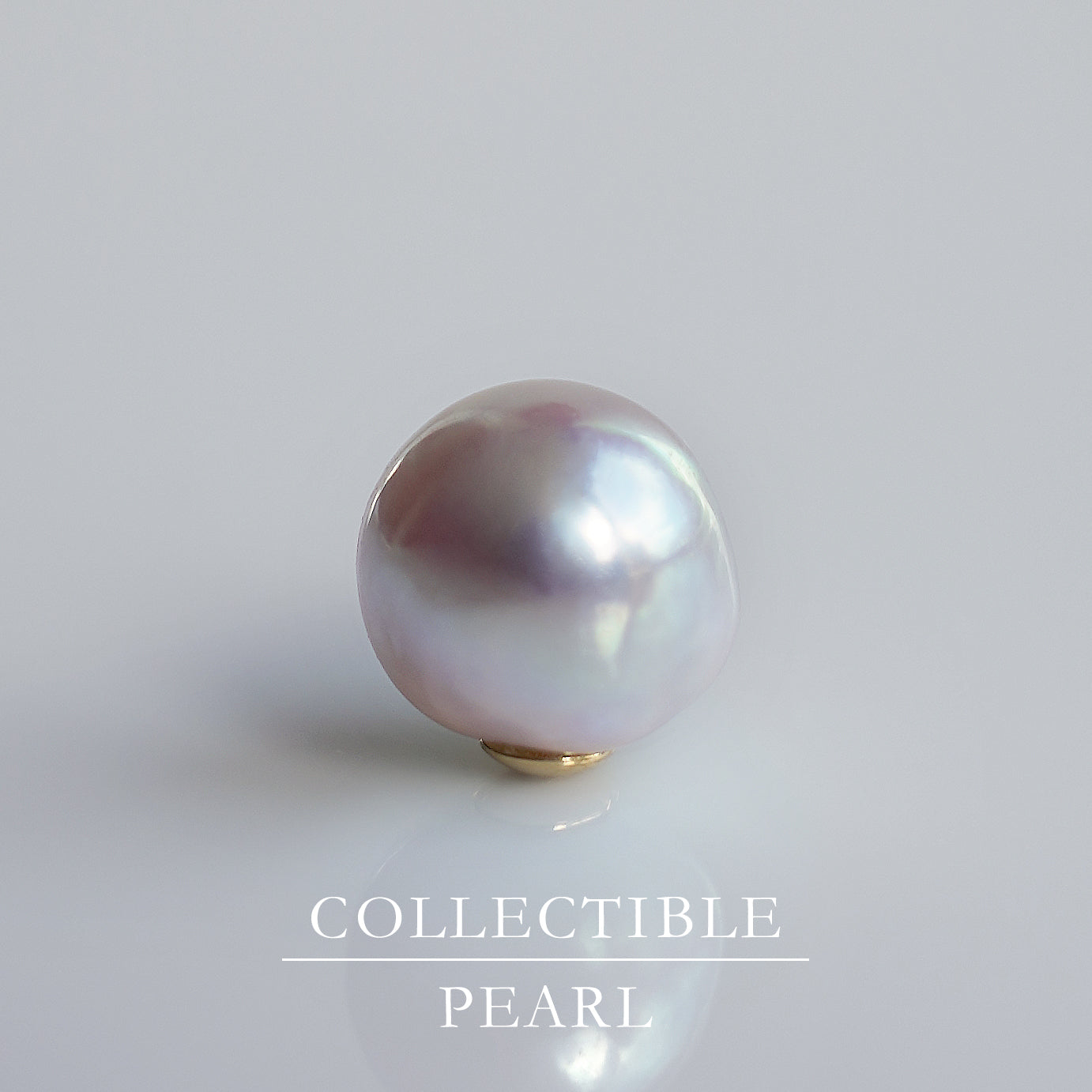 【COLLECTIBLE】"Umihotaru" Akoya Pearl (No. SU58237)