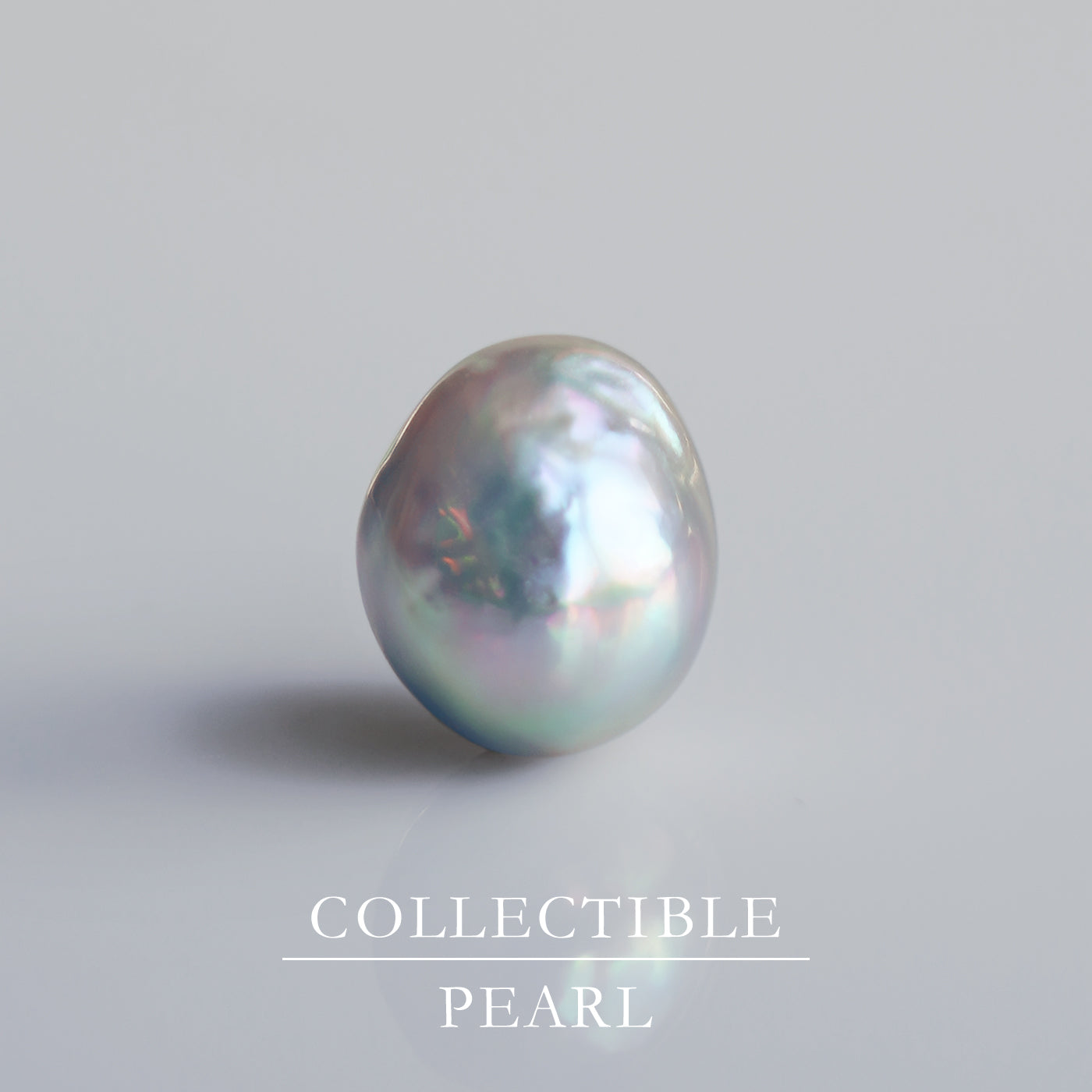 【COLLECTIBLE】"Umihotaru" Akoya Pearl (No. SU58242)
