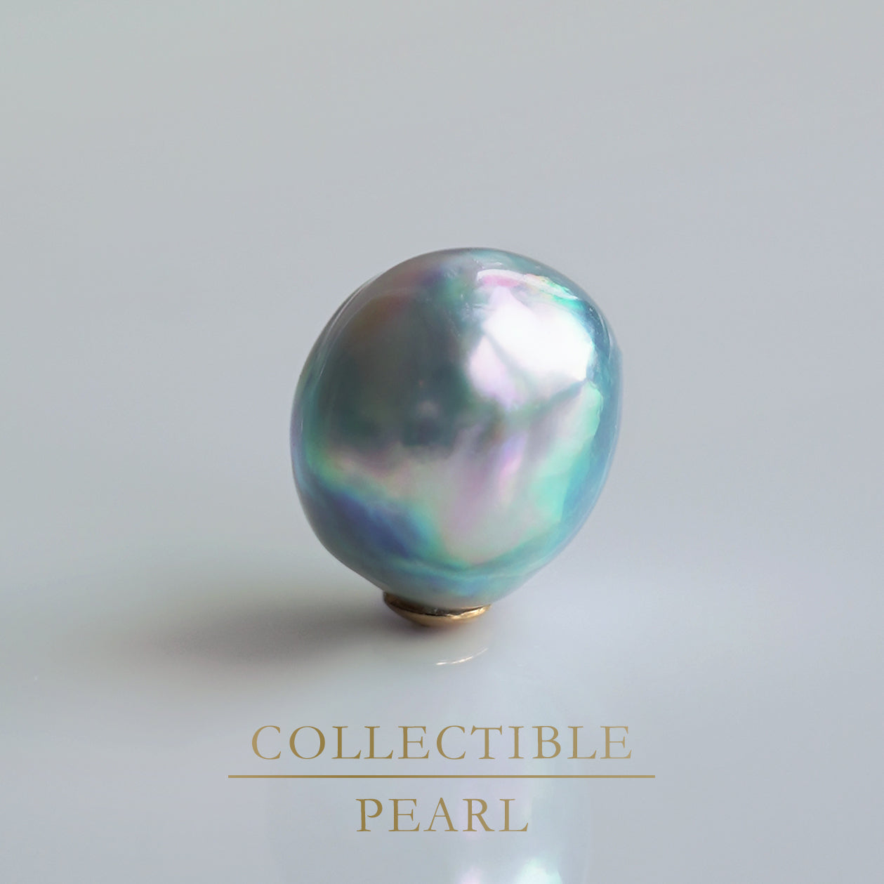 【COLLECTIBLE】"Umihotaru" Akoya Pearl (No. SU58246)