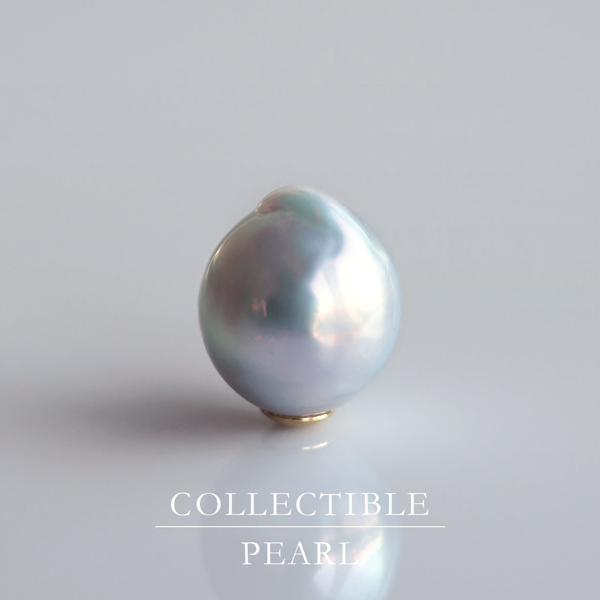 【COLLECTIBLE】"Umihotaru" Akoya Pearl (No. SU58238)