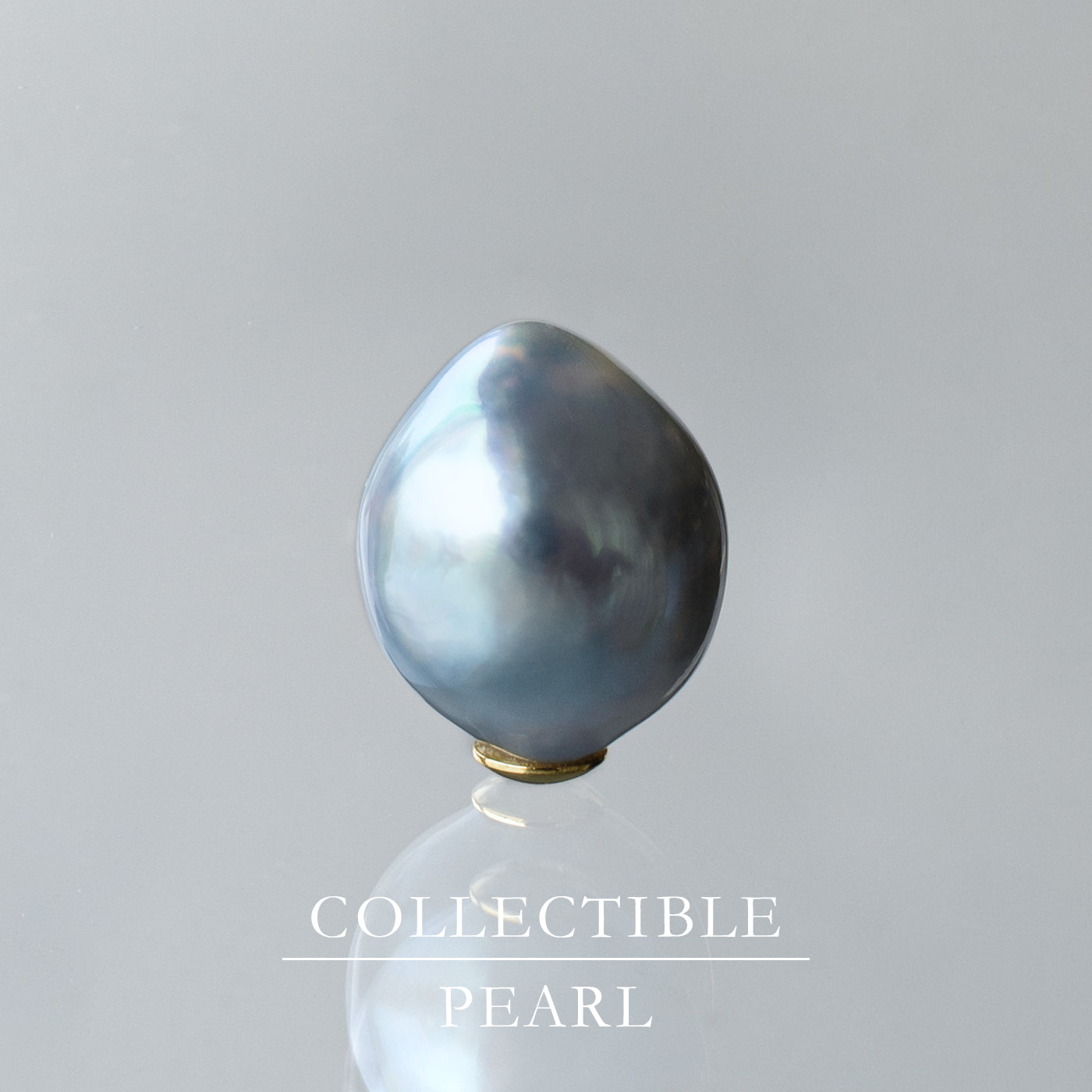 【COLLECTIBLE】"Umihotaru" Akoya Pearl(No. SU58318)