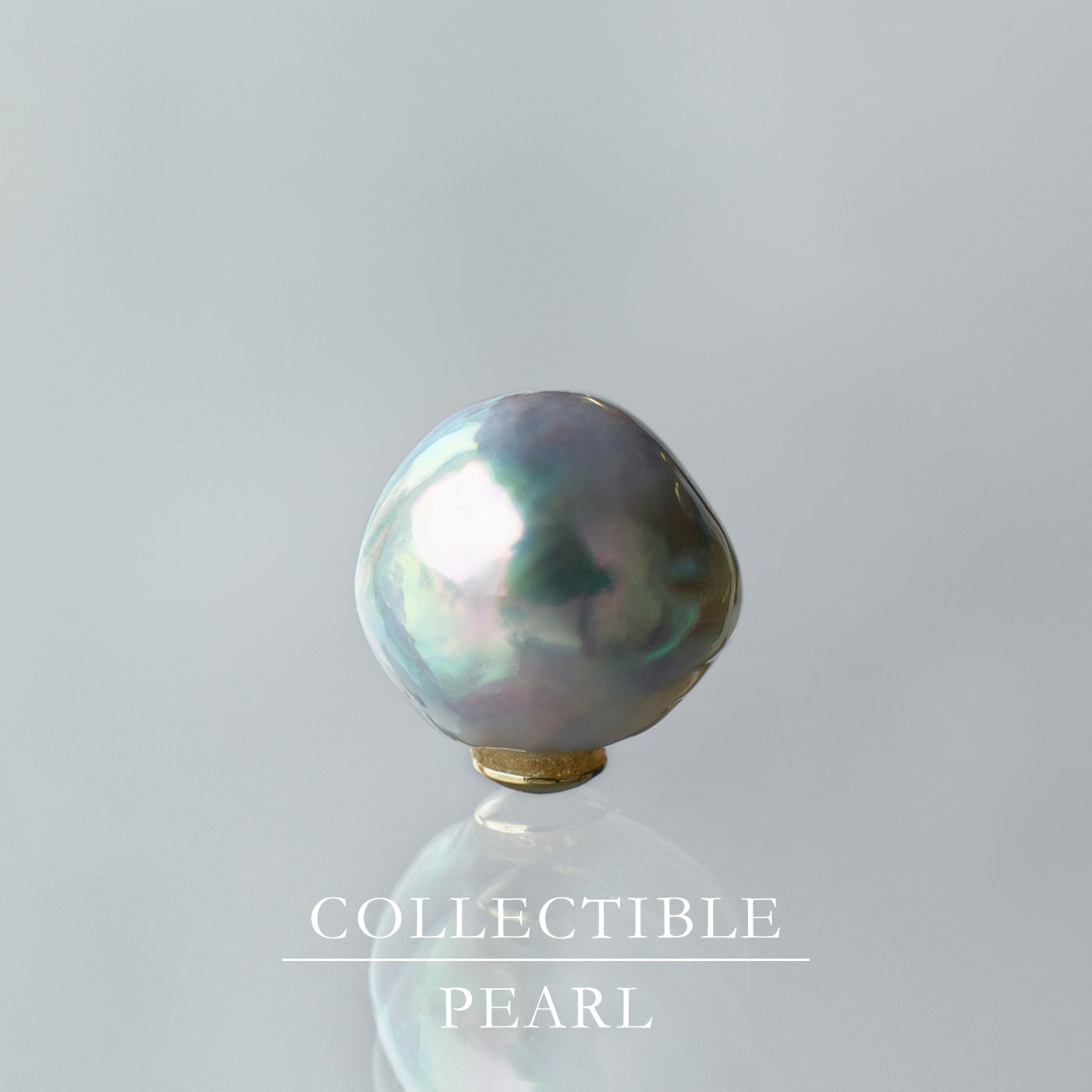 【COLLECTIBLE】"Umihotaru" Akoya Pearl (No. SU58319)