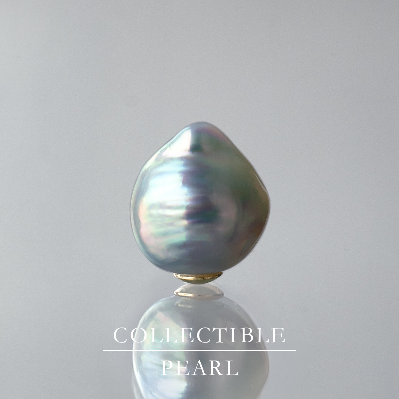 【COLLECTIBLE】"Umihotaru" Akoya Pearl(No. SU58317)