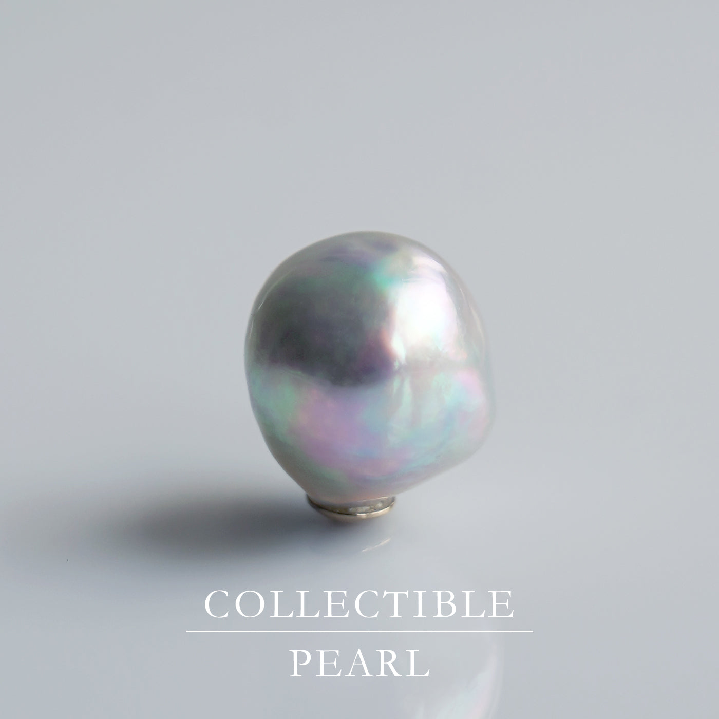 【COLLECTIBLE】"Umihotaru" Akoya Pearl (No. SU58243)
